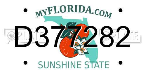 D377282 Florida License Plate