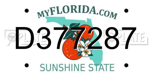 D377287 Florida License Plate