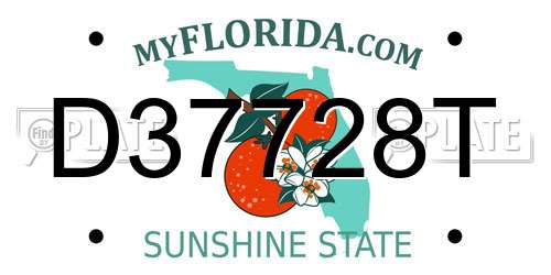 D37728T Florida License Plate