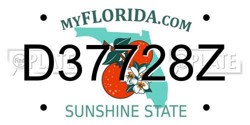 D37728Z Florida License Plate