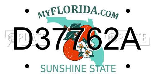D37762A Florida License Plate