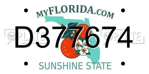 D377674 Florida License Plate