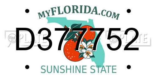 D377752 Florida License Plate