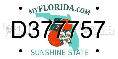D377757 Florida License Plate
