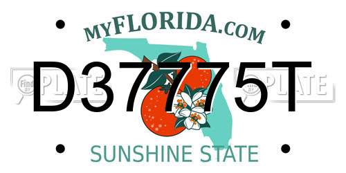 D37775T Florida License Plate