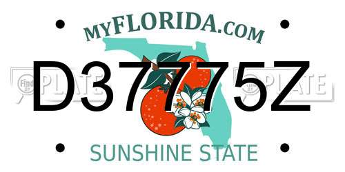 D37775Z Florida License Plate