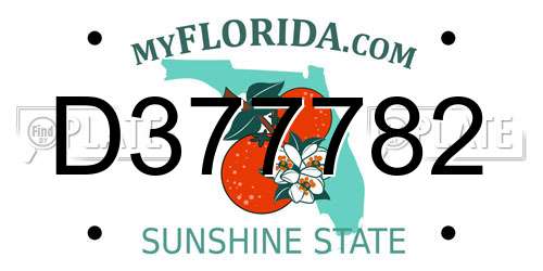 D377782 Florida License Plate