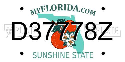 D37778Z Florida License Plate