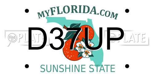 D37UP Florida License Plate