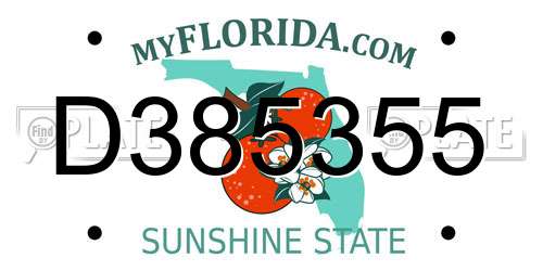 D385355 Florida License Plate