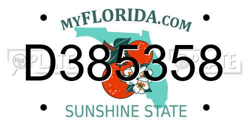 D385358 Florida License Plate