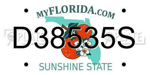 D38535S Florida License Plate