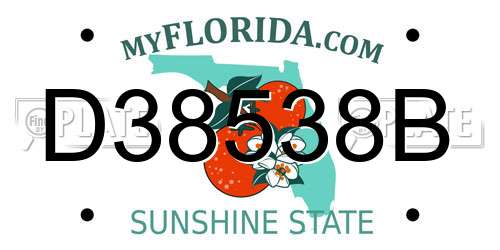 D38538B Florida License Plate