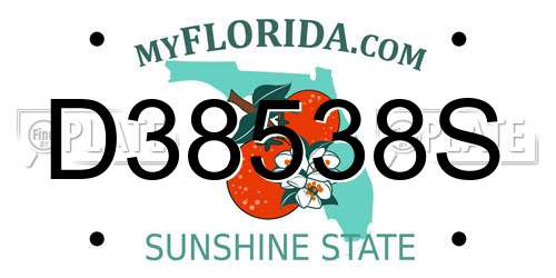 D38538S Florida License Plate
