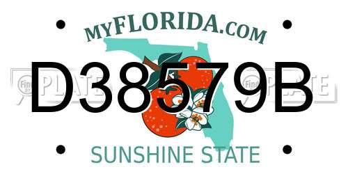 D38579B Florida License Plate