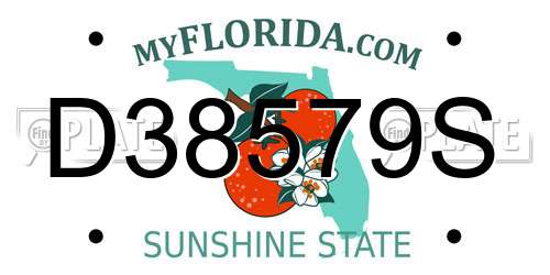 D38579S Florida License Plate