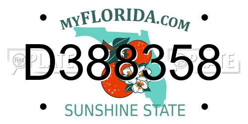 D388358 Florida License Plate