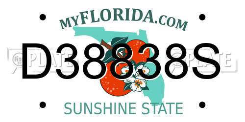 D38838S Florida License Plate