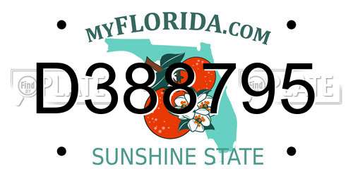 D388795 Florida License Plate