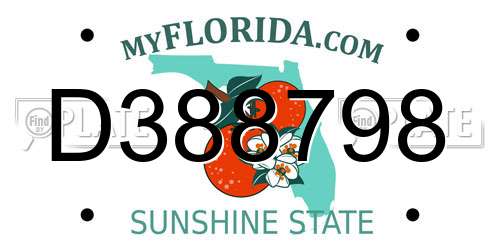 D388798 Florida License Plate
