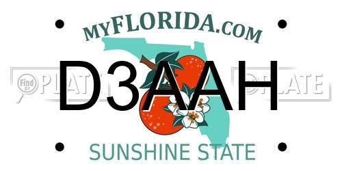 D3AAH Florida License Plate