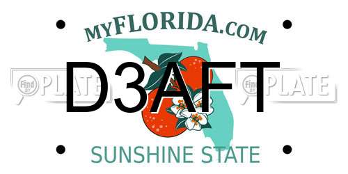 D3AFT Florida License Plate