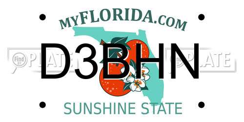 D3BHN Florida License Plate