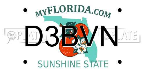 D3BVN Florida License Plate