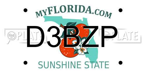 D3BZP Florida License Plate