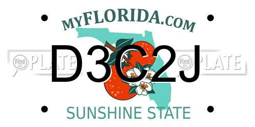 D3C2J Florida License Plate