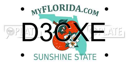 D3CXE Florida License Plate