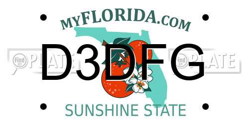 D3DFG Florida License Plate