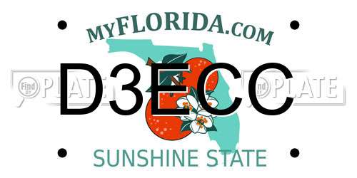 D3ECC Florida License Plate