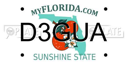 D3GUA Florida License Plate