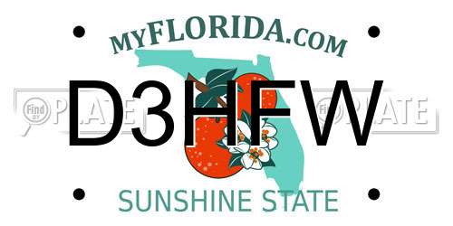 D3HFW Florida License Plate