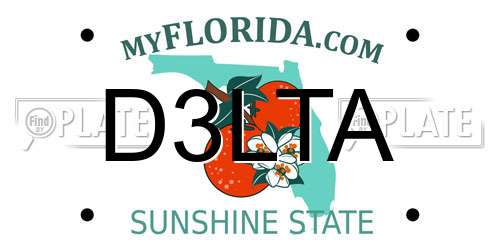 D3LTA Florida License Plate