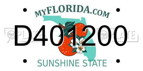 D401200 Florida License Plate