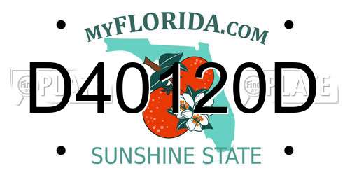 D40120D Florida License Plate