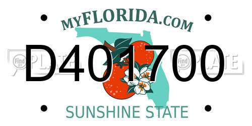 D401700 Florida License Plate