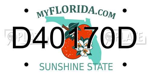 D40170D Florida License Plate