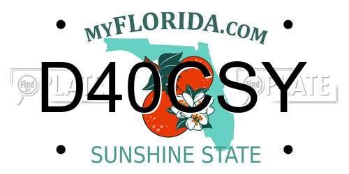 D40CSY Florida License Plate