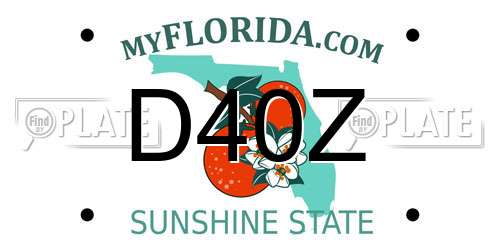 D40Z Florida License Plate