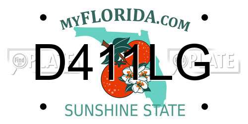 D411LG Florida License Plate