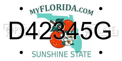 D42345G Florida License Plate