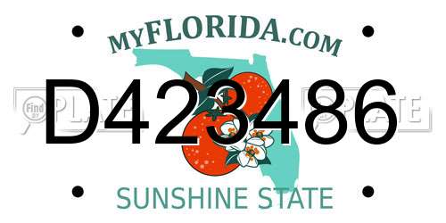 D423486 Florida License Plate