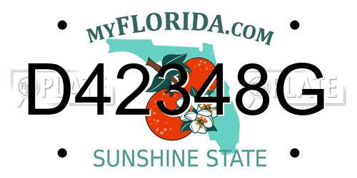 D42348G Florida License Plate