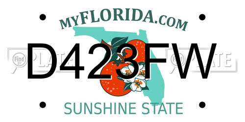 D423FW Florida License Plate