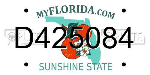 D425084 Florida License Plate