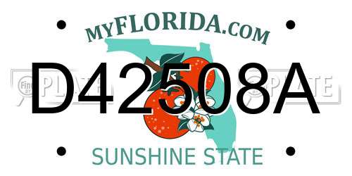 D42508A Florida License Plate