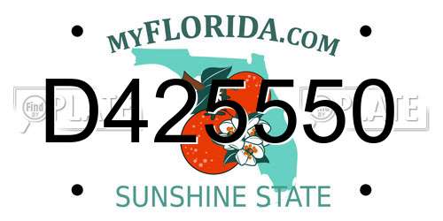 D425550 Florida License Plate